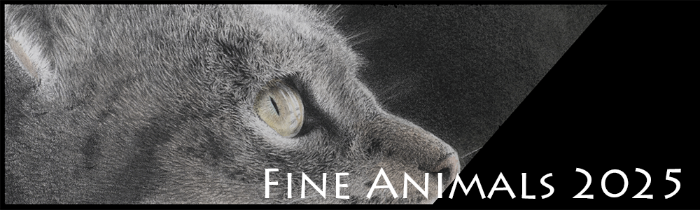 title banner